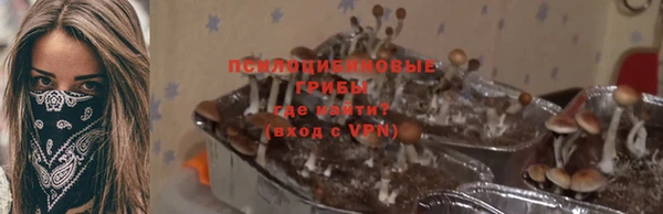 прущие крисы Армянск